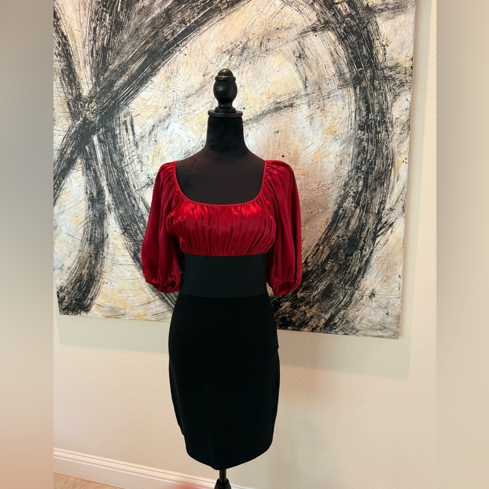 Studio M Vibrant Burgundy-Red and Black Dress.